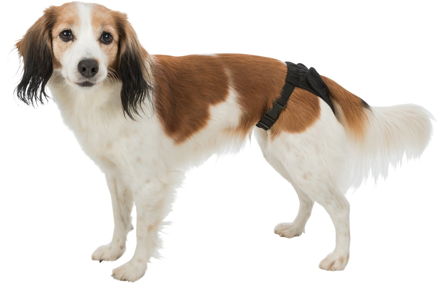 Browns Hygiene Products | Protective Pants - BROWNS PET RANGE