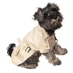 Brown's Pet Range Urban | Cream Trench Coat For Dogs -  - Browns Pet Range