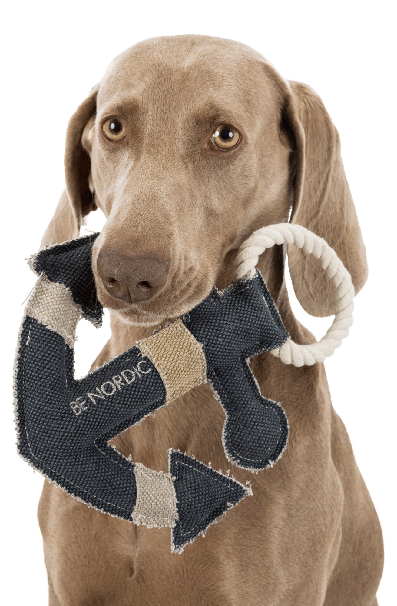 Brown's Rough & Tough Anchor - BROWNS PET RANGE