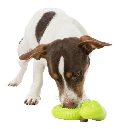 Brown's Training Games | Snacky-Snake - BROWNS PET RANGE