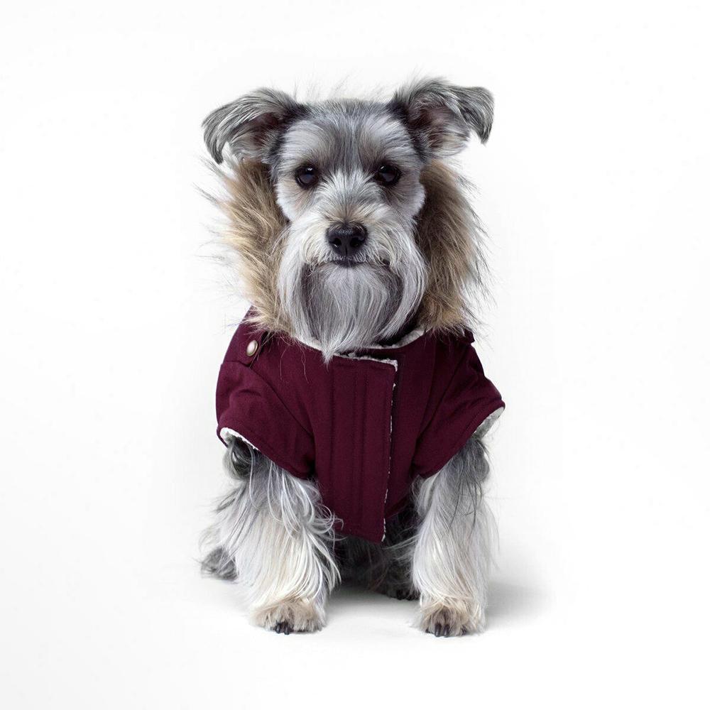 Canada Pooch Alaskan Army Parka Maroon SIZE 22-26 - Dog Coat - Browns Pet Range