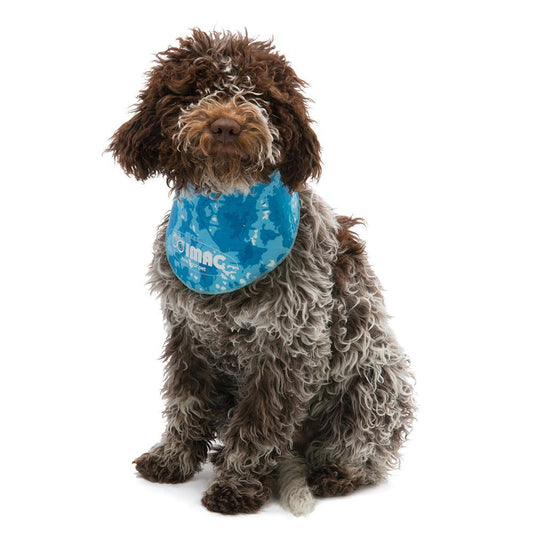 Cooling Accessories | Always Cool Dog Bandanna (Size Varieties) - BROWNS PET RANGE