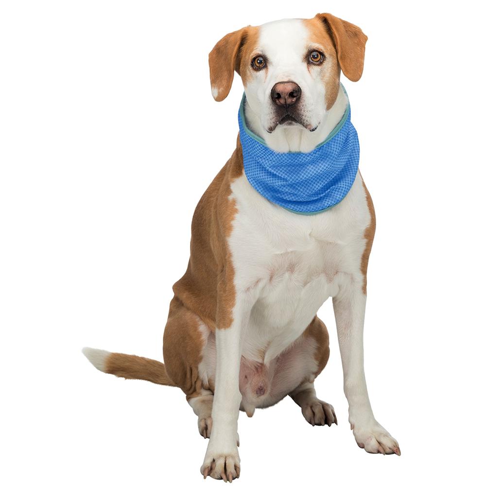 Cooling Bandanna For Dogs (Size Varieties) - Dog Coat - Browns Pet Range