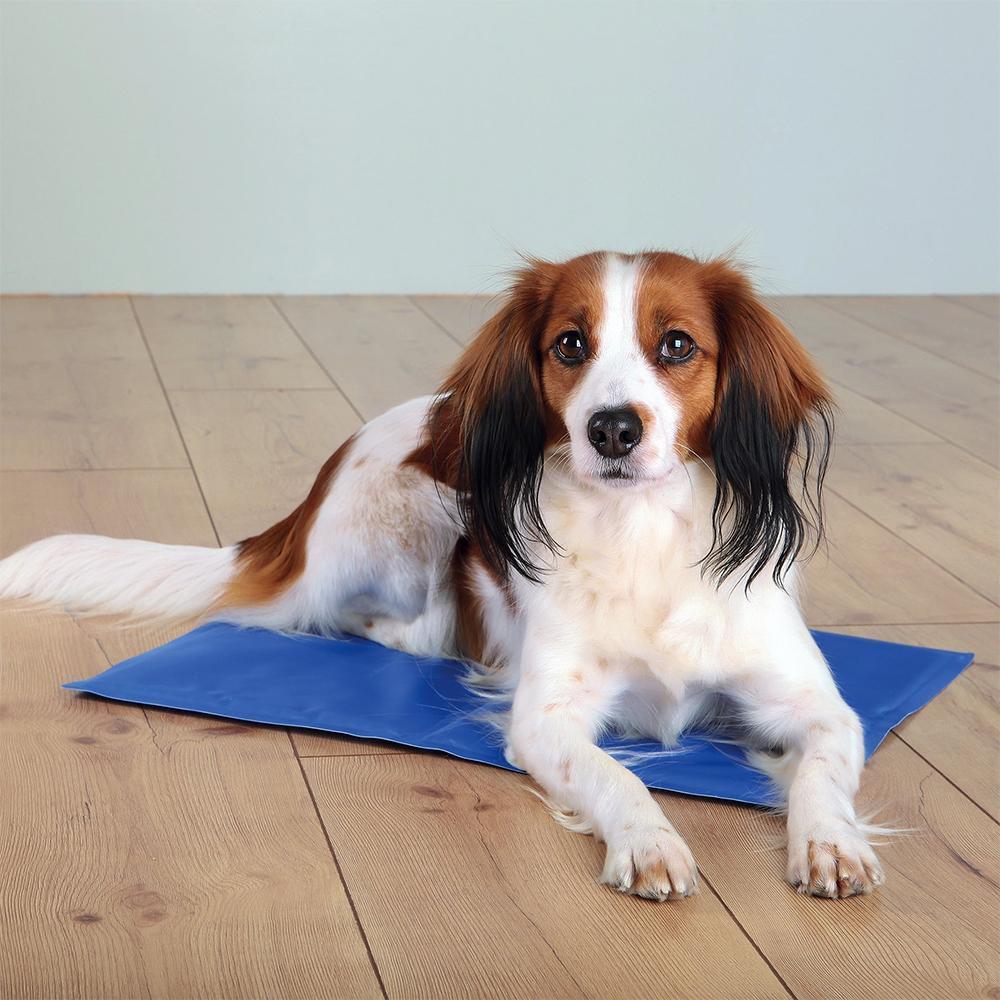 Dog cooling mat outlet the range