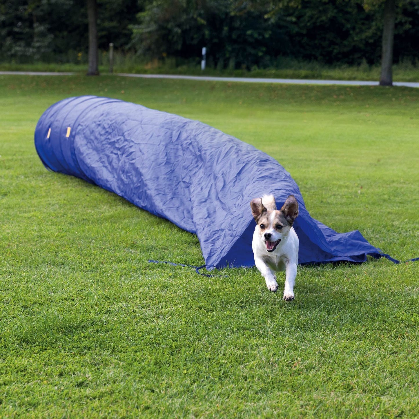 Dog Agility Training | Sack Tunnel - Dog Accessories - Browns Pet Range