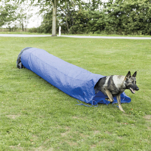 Dog Agility Training | Sack Tunnel - BROWNS PET RANGE