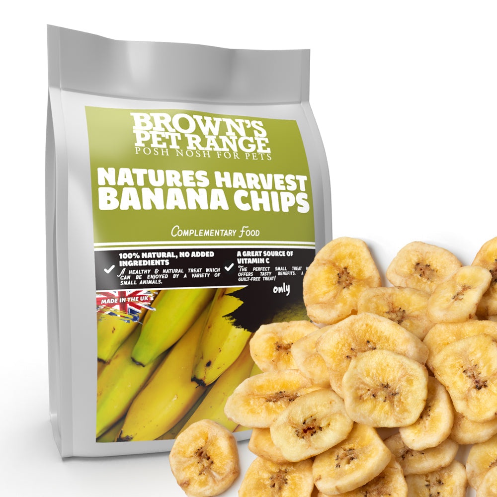 Dried banana shop chips for dogs