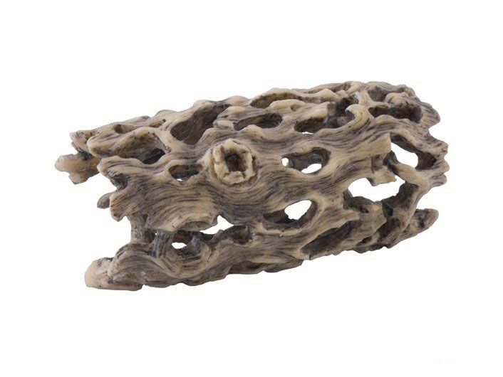 Exo Terra Cholla Cactus Skeleton Ornament - BROWNS PET RANGE