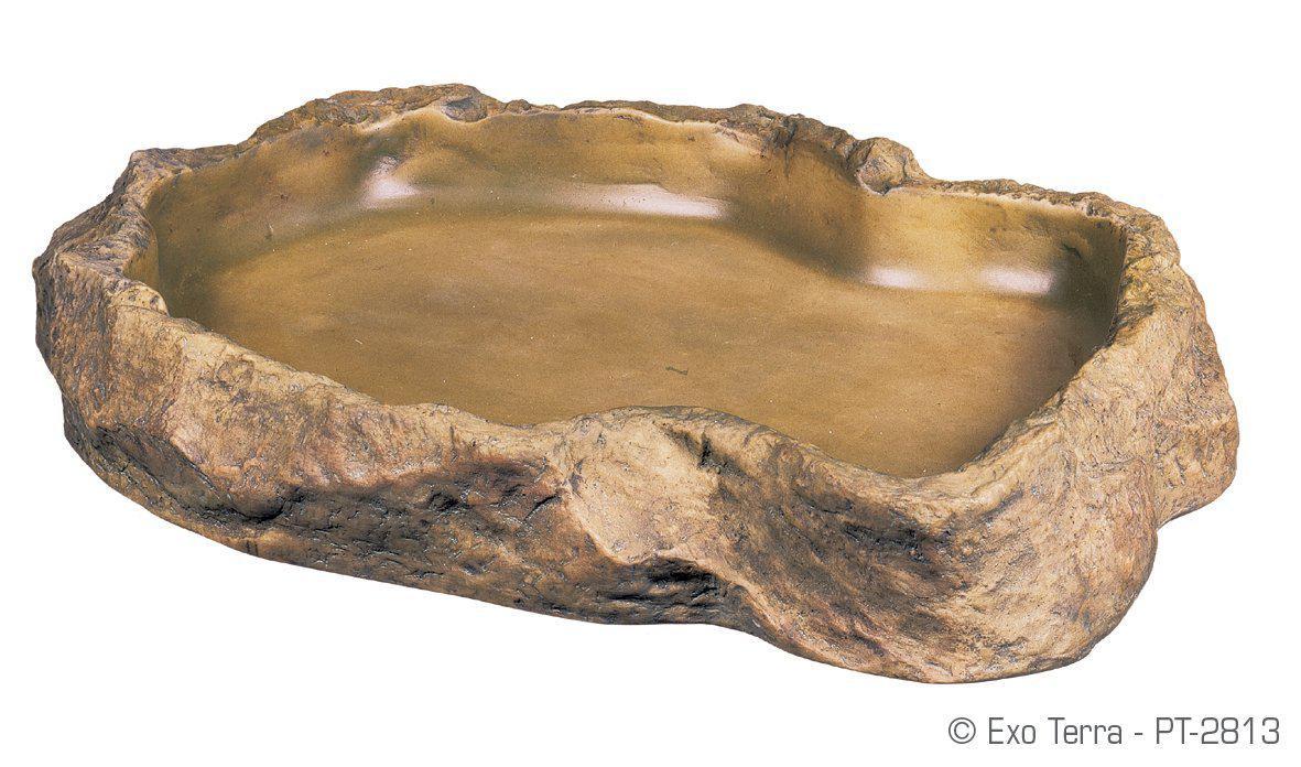 Exo Terra Feeding Dish Large - Reptile Accessories - Browns Pet Range