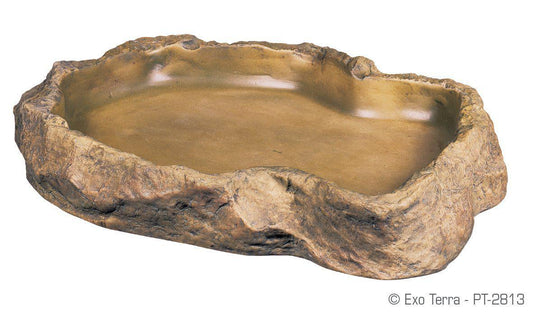 Exo Terra Feeding Dish Large - Reptile Accessories - Browns Pet Range