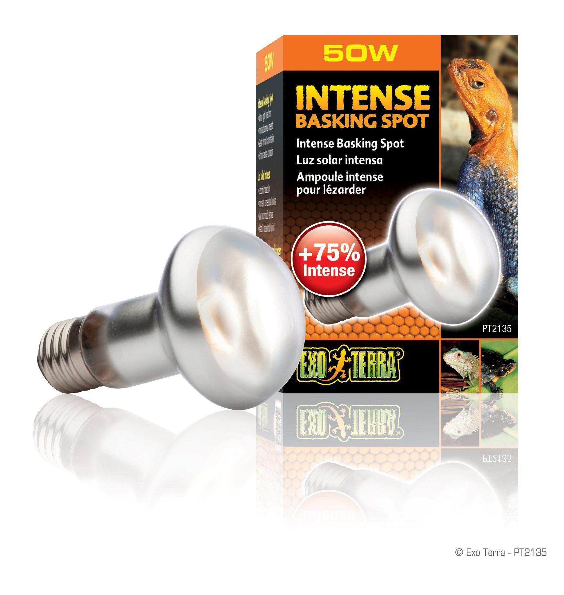 Exo Terra Intense Basking Spot Heat Bulb (Varieties) - Reptile Vivariums - Browns Pet Range