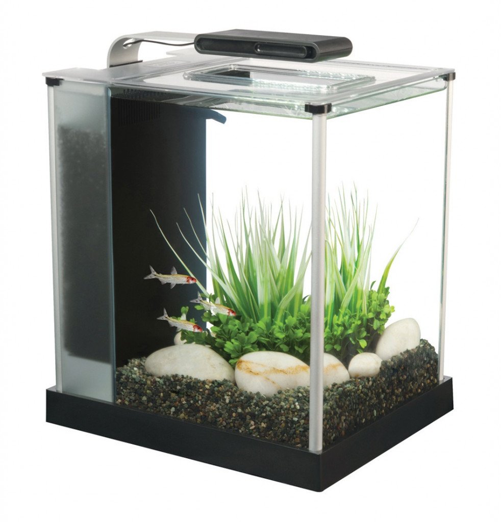 FLUVAL Spec- 10 Litre - Glass Aquarium - Black - Fish Tank - Browns Pet Range