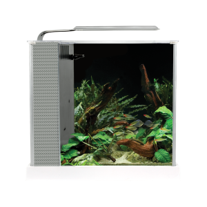 FLUVAL Spec- 10 Litre - Glass Aquarium - White - Fish Tank - Browns Pet Range