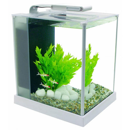 FLUVAL Spec- 10 Litre - Glass Aquarium - White - Fish Tank - Browns Pet Range