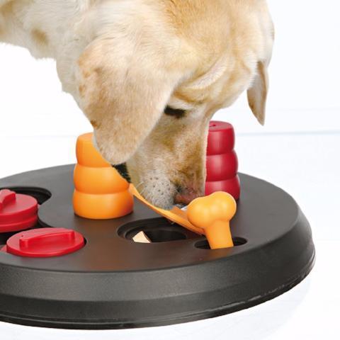 Flip Board Strategy Game | Level 2 - Dog Toys - Browns Pet Range