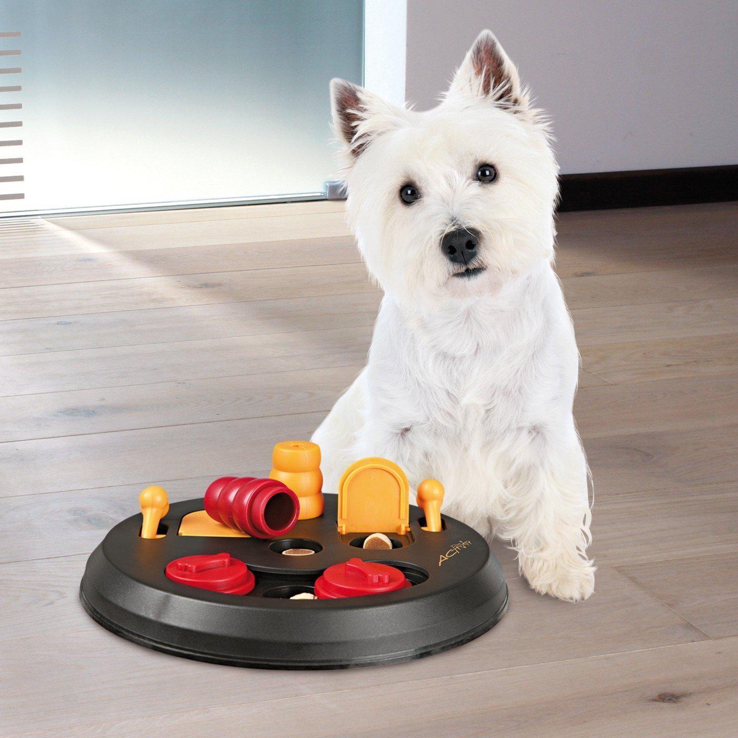 Flip Board Strategy Game | Level 2 - Dog Toys - Browns Pet Range