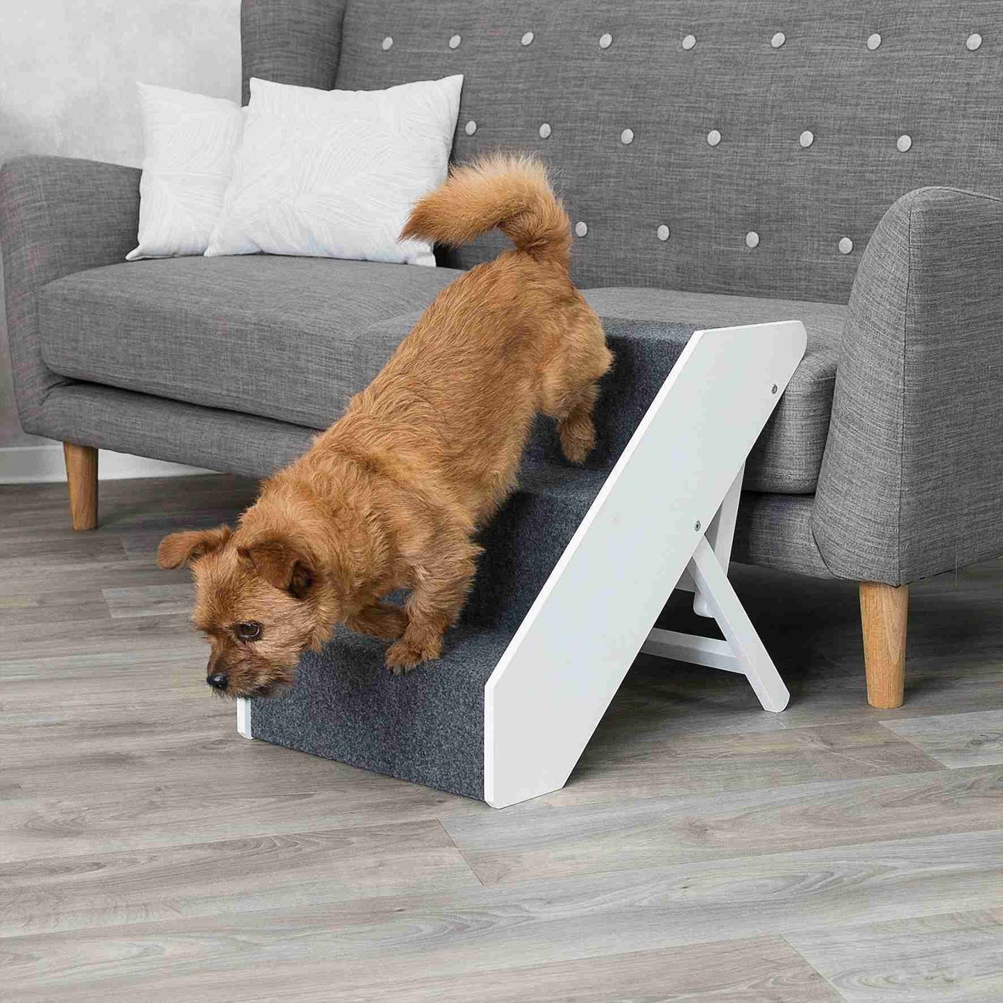 For The Home | Adjustable Steps - Dog Accessories - Browns Pet Range