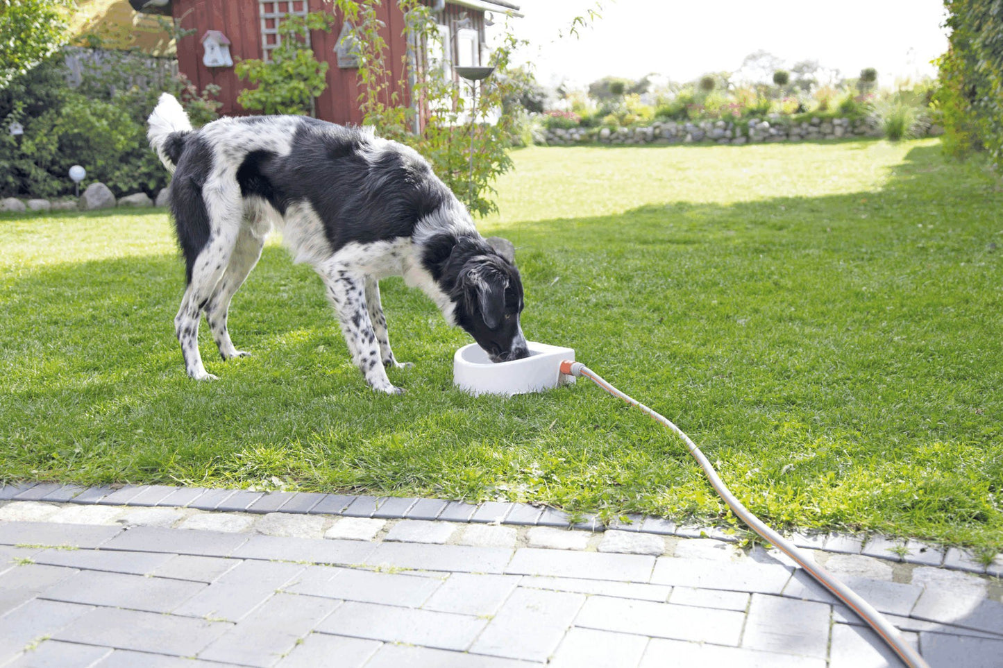 For the Garden | Automatic Outdoor Water Trough - BROWNS PET RANGE