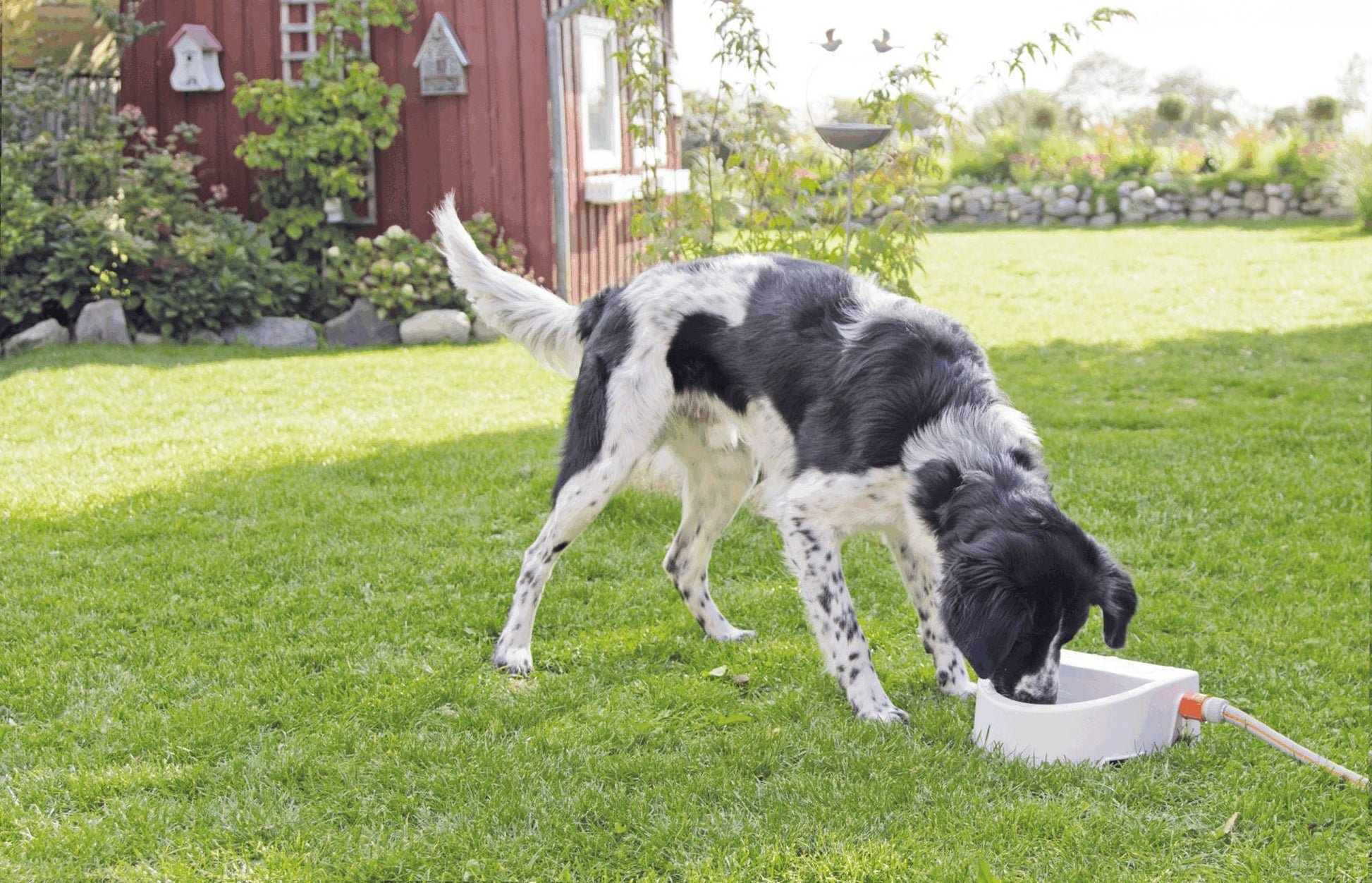 For the Garden | Automatic Outdoor Water Trough - BROWNS PET RANGE