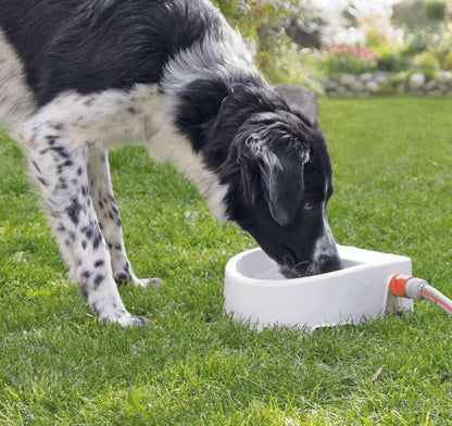 For the Garden | Automatic Outdoor Water Trough - BROWNS PET RANGE