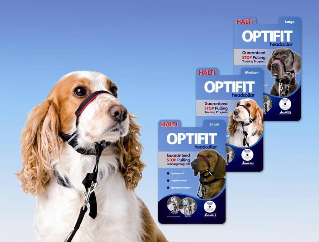 Halti OptiFit Headcollar BROWNS PET RANGE