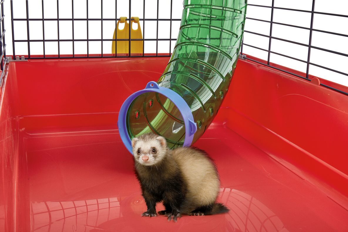 Free 2024 ferret cage