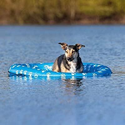 Inflatable Dinghy For Dogs -  - Browns Pet Range