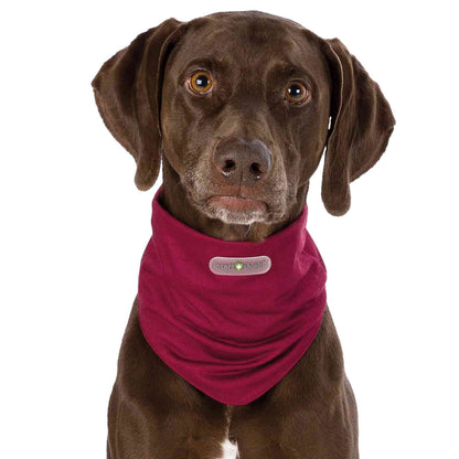 Insect (Repellent) Shield Dog Bandana (Burgundy) -  - Browns Pet Range