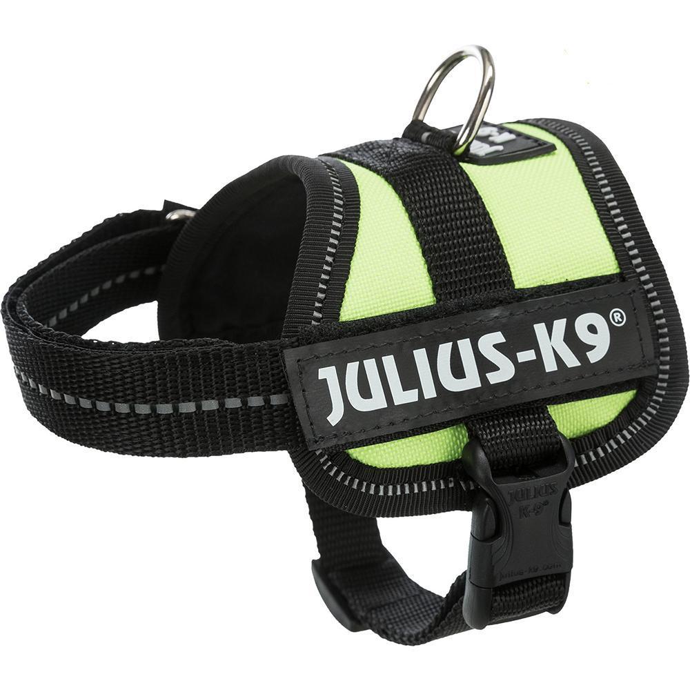 Julius-K9® Powerharness, Baby 1/XS: 29-36cm/18mm (Colour Variations) - Harness - Browns Pet Range