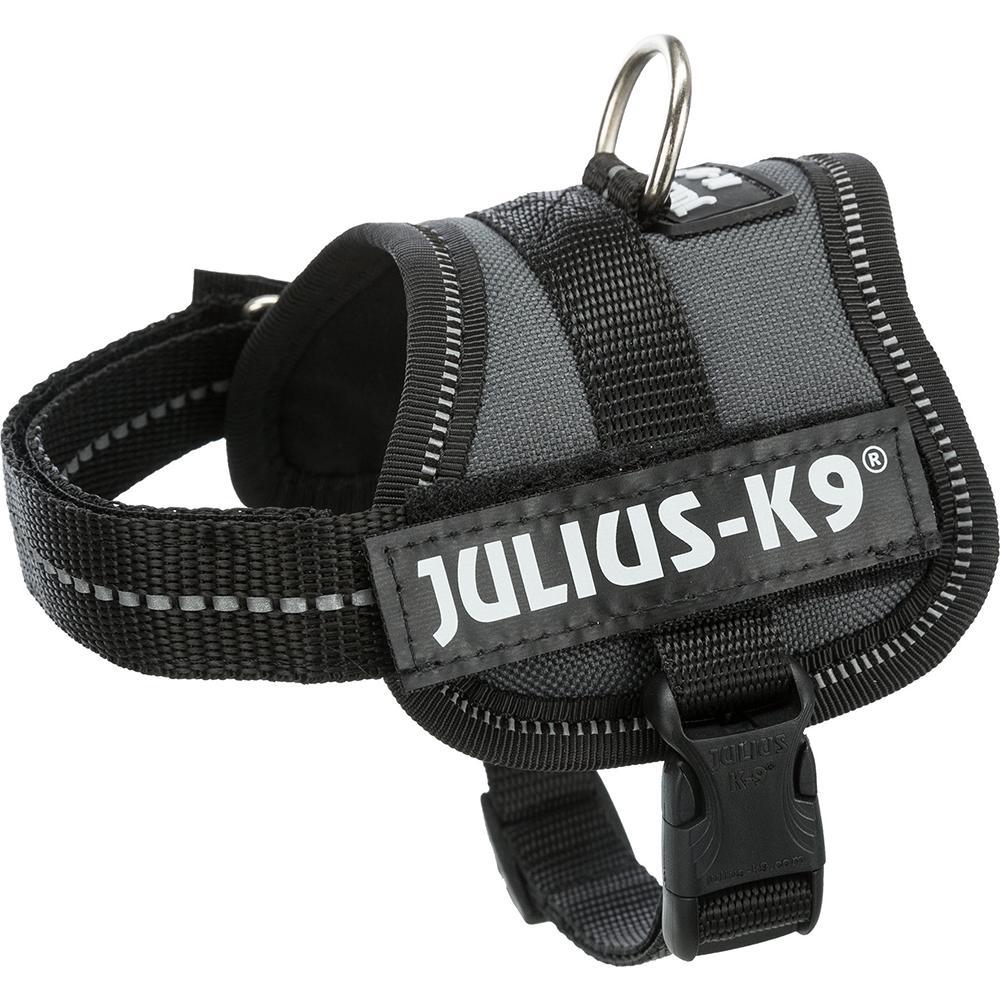 Julius-K9® Powerharness, Baby 1/XS: 29-36cm/18mm (Colour Variations) - Harness - Browns Pet Range