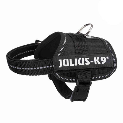 Julius-K9® Powerharness, Baby 1/XS: 29-36cm/18mm (Colour Variations) - Harness - Browns Pet Range