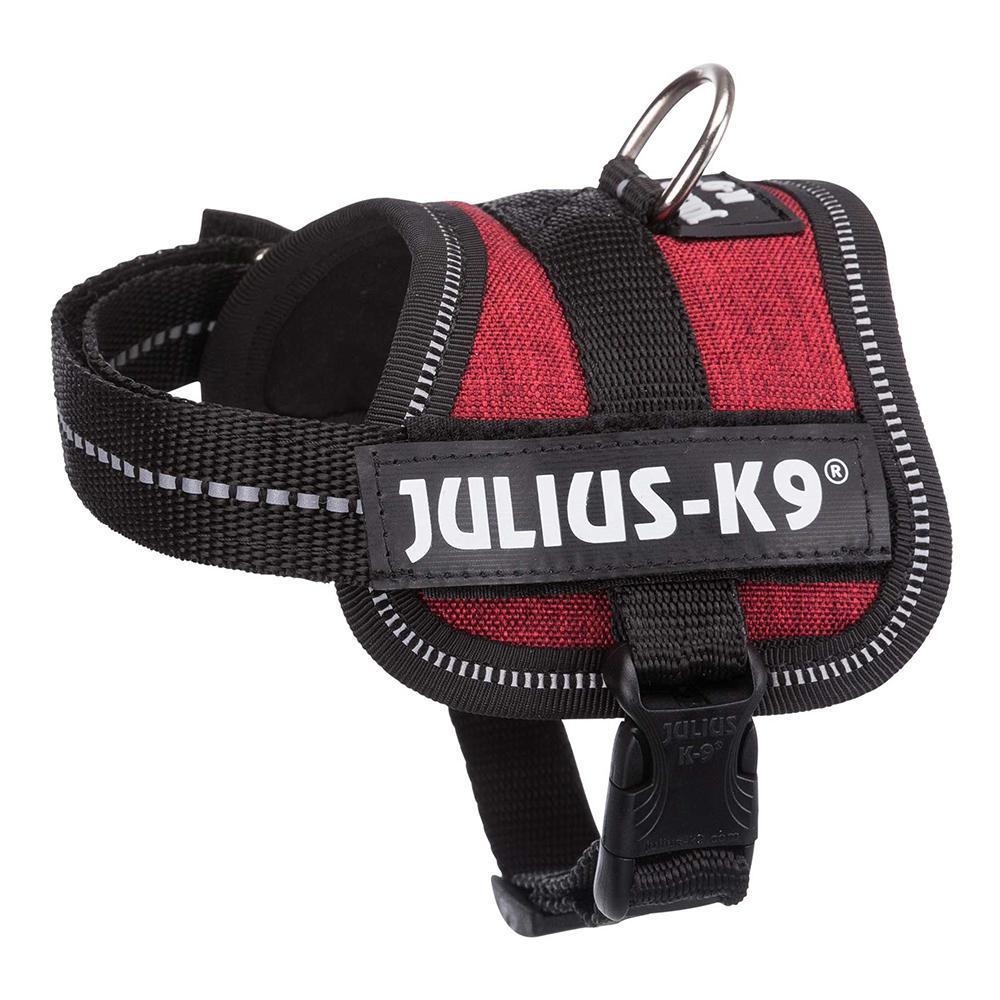 Julius-K9® Powerharness, Baby 1/XS: 29-36cm/18mm (Colour Variations) - Harness - Browns Pet Range