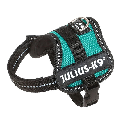 Julius-K9® Powerharness, Baby 1/XS: 29-36cm/18mm (Colour Variations) - Harness - Browns Pet Range