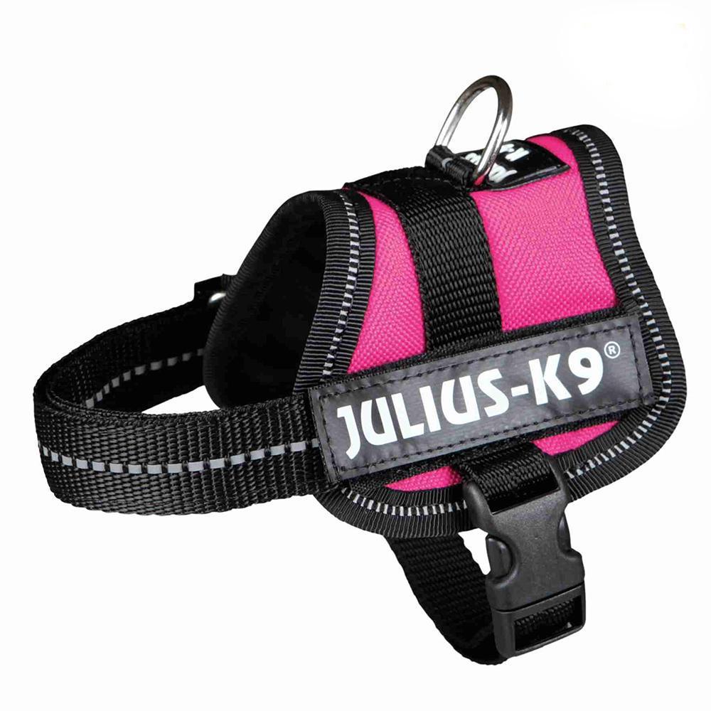 Julius-K9® Powerharness, Baby 1/XS: 29-36cm/18mm (Colour Variations) - Harness - Browns Pet Range