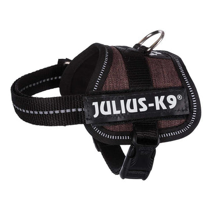 Julius-K9® Powerharness, Baby 1/XS: 29-36cm/18mm (Colour Variations) - Harness - Browns Pet Range