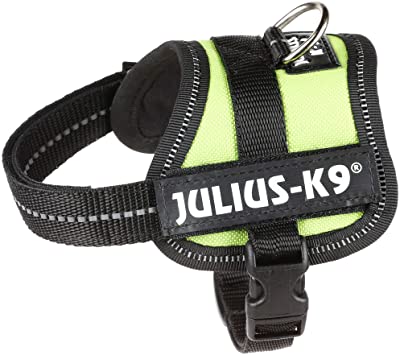 Julius-K9® Powerharness, Baby 1/XS: 29-36cm/18mm (Colour Variations) - Harness - Browns Pet Range