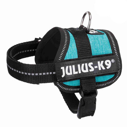 Julius-K9® Powerharness, Baby 1/XS: 29-36cm/18mm (Colour Variations) - Harness - Browns Pet Range