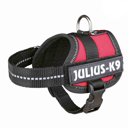 Julius-K9® Powerharness, Baby 1/XS: 29-36cm/18mm (Colour Variations) - Harness - Browns Pet Range