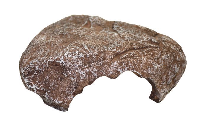 Komodo Wide Entrance Rock Den - BROWNS PET RANGE