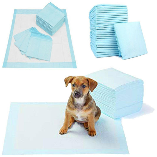 Lazy Bones Puppy Training Pads (Varied Pack Size) - Training Pads - Browns Pet Range