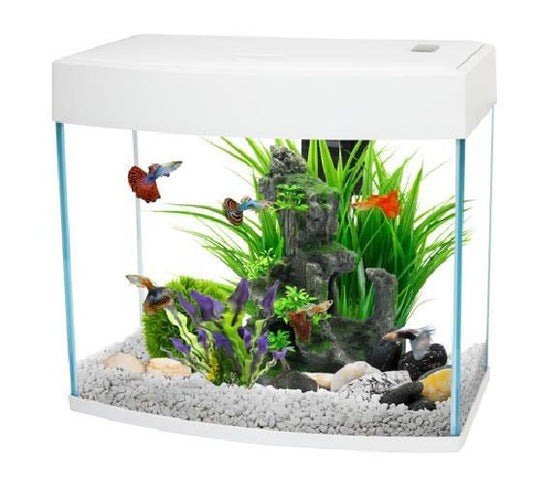 Little Explorers Aquarium - 14 Litre - White - Fish Tank - Browns Pet Range