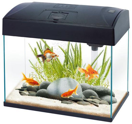 Little Explorers Aquarium - 20 Litre - Black - Fish Tank - Browns Pet Range