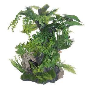 Medium Root and Plants -  - Browns Pet Range