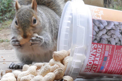 Brown's Nature's Harvest - Monkey Nuts For Small Animals Or Birds - Bird Food - Browns Pet Range