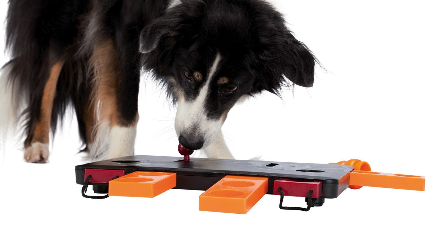 Move2Win Strategy Game | Level 3 - Dog Toys - Browns Pet Range