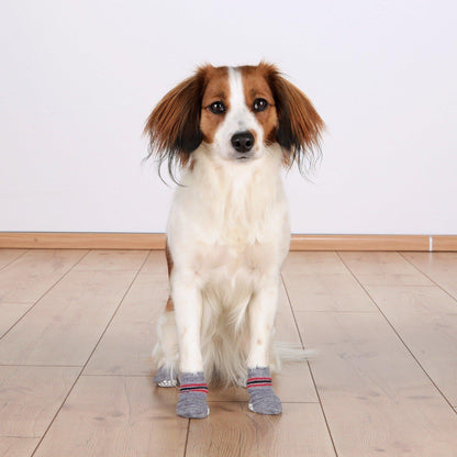 NEW Trixie Non-Slip Socks For Dogs - Socks - Browns Pet Range