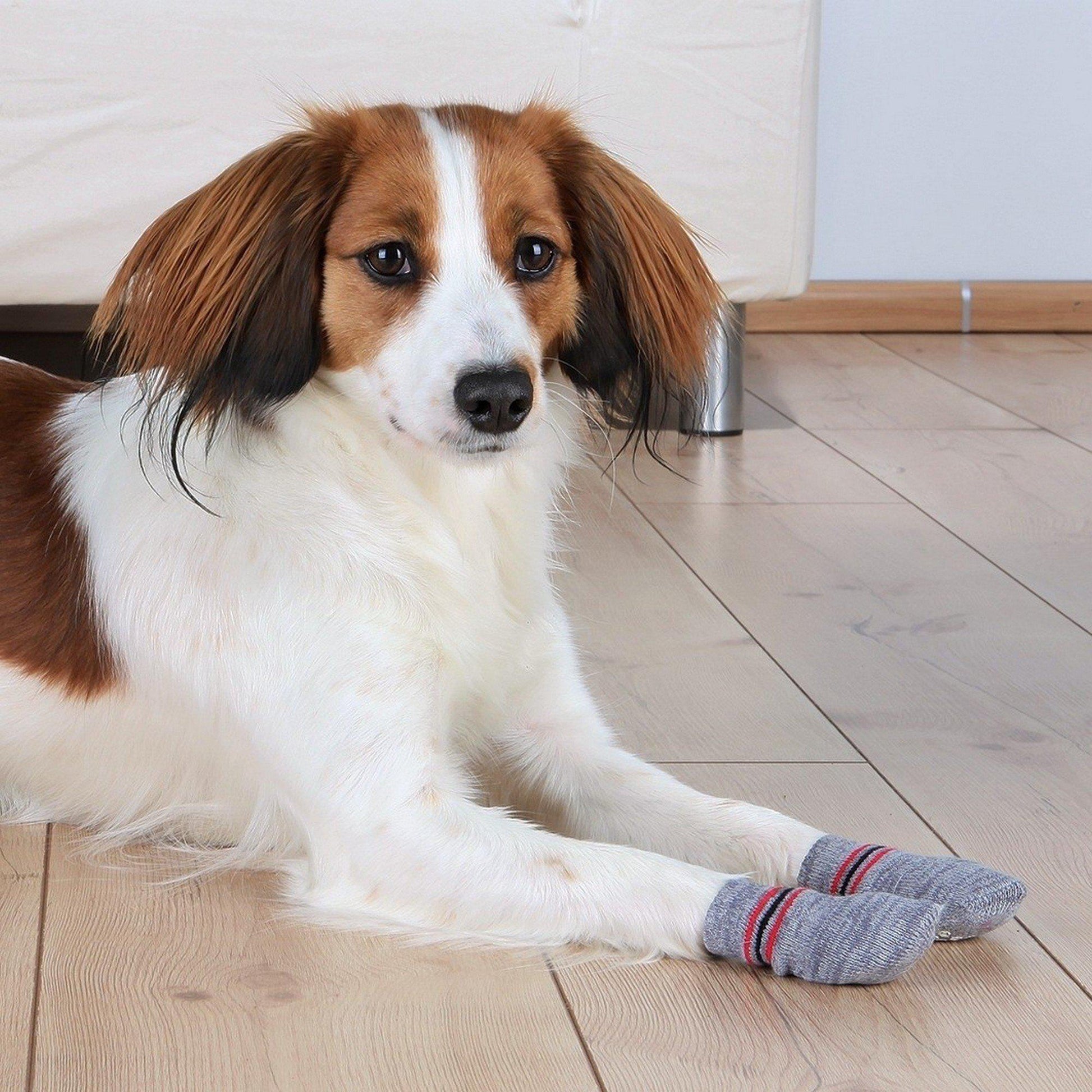 NEW Trixie Non-Slip Socks For Dogs - Socks - Browns Pet Range