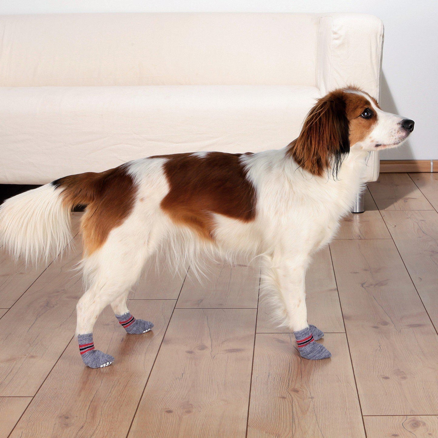 NEW Trixie Non-Slip Socks For Dogs - Socks - Browns Pet Range