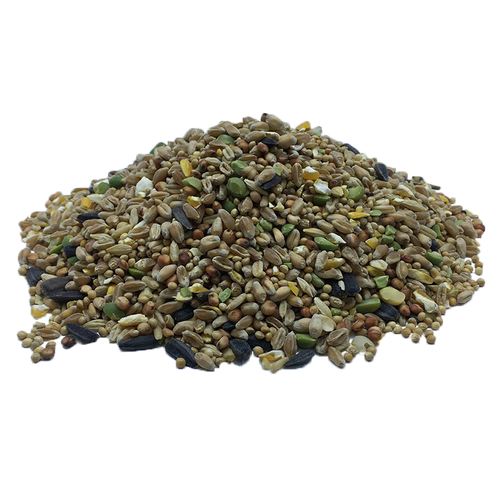 Posh Nosh for Wild Birds | Economy Mix Bird Seed - BROWNS PET RANGE