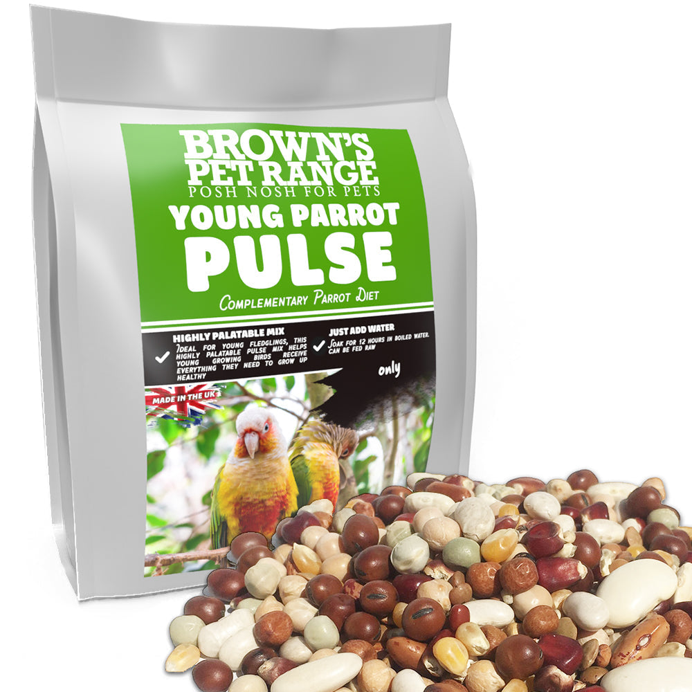 Posh Nosh for Young Parrots | Pulse Soak - BROWNS PET RANGE